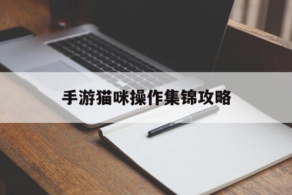 手游猫咪操作集锦攻略(手游猫咪操作集锦攻略视频)